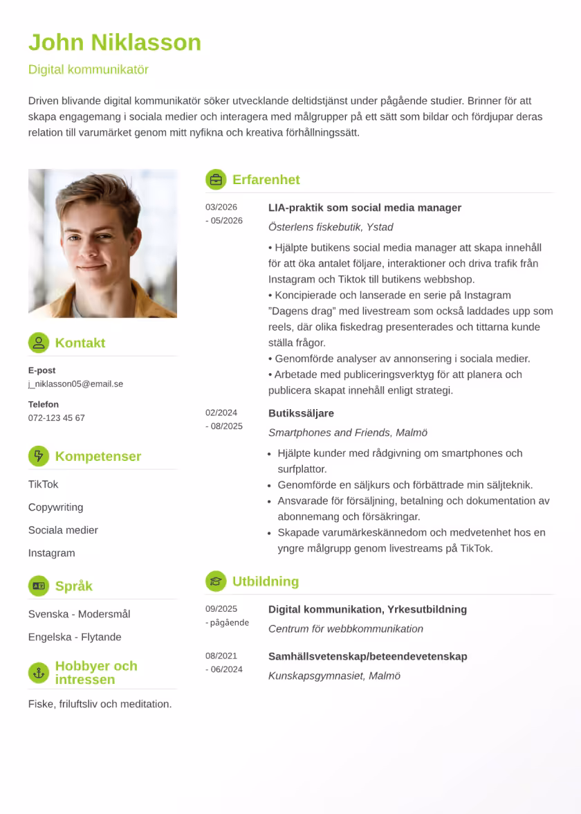 Crisp Exempel CV