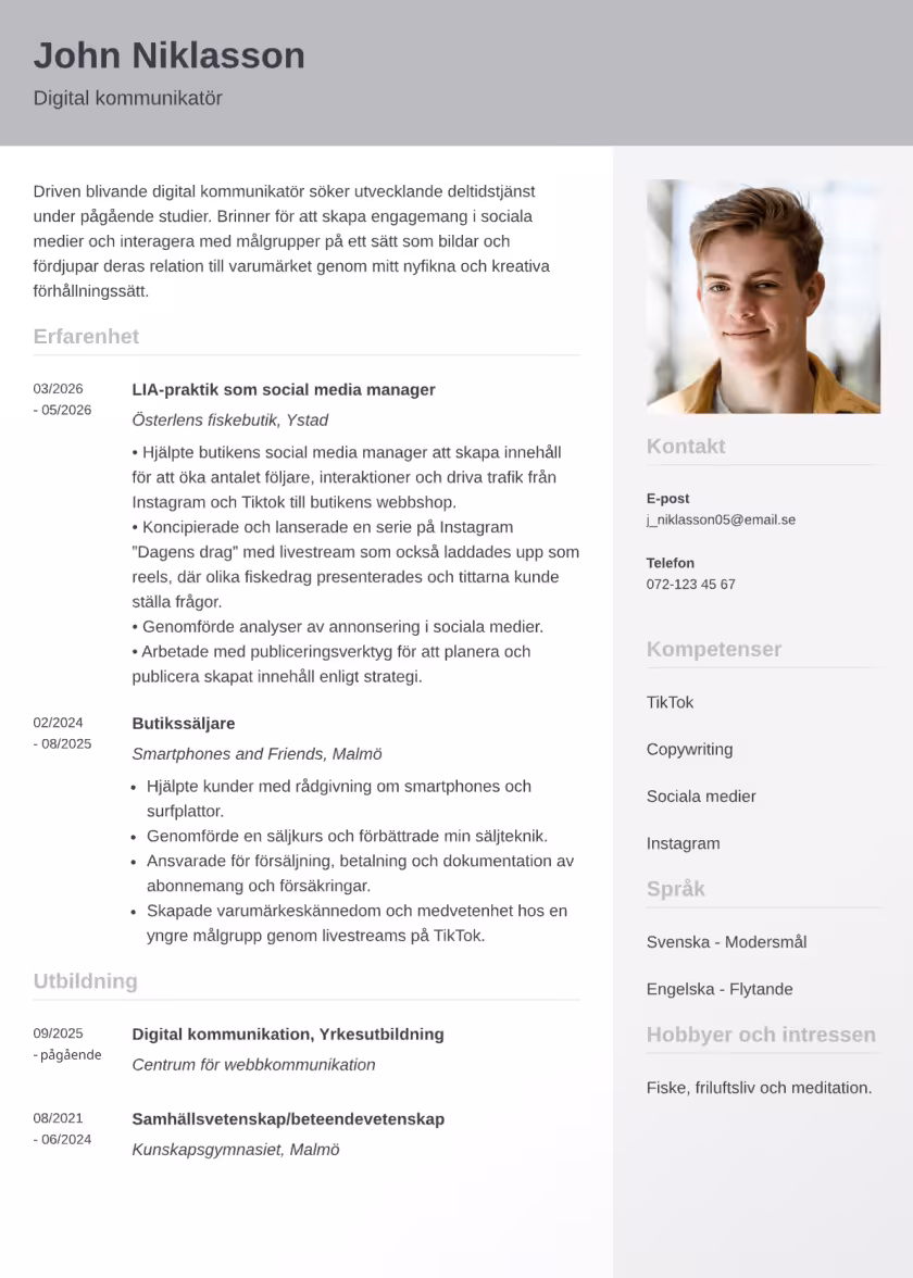 Cubic Exempel CV