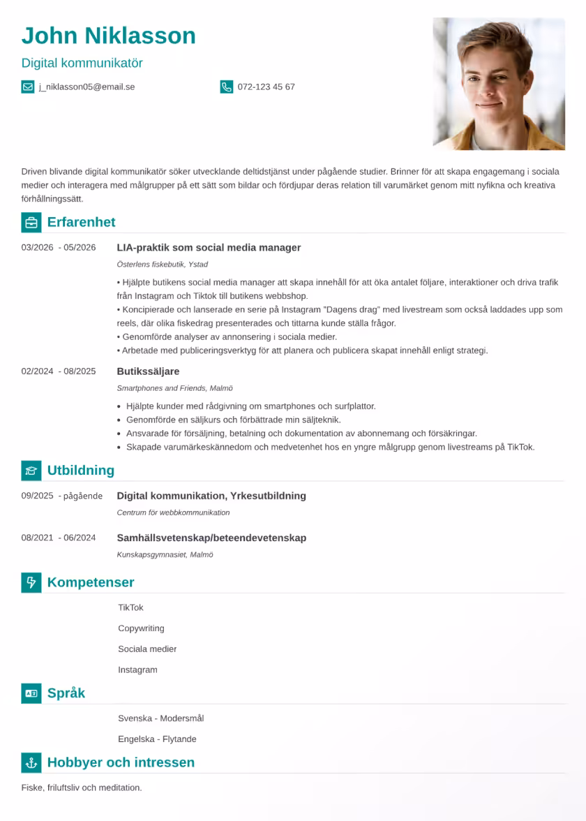 Iconic Exempel CV